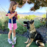 Protection Dog Ace, 6 months old