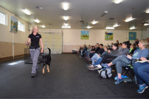 Amy Pishner dog trainer