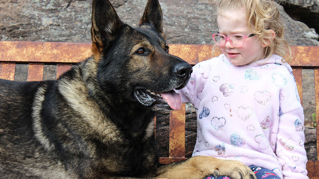 protection-dog-standards Guard dog behaving with small child