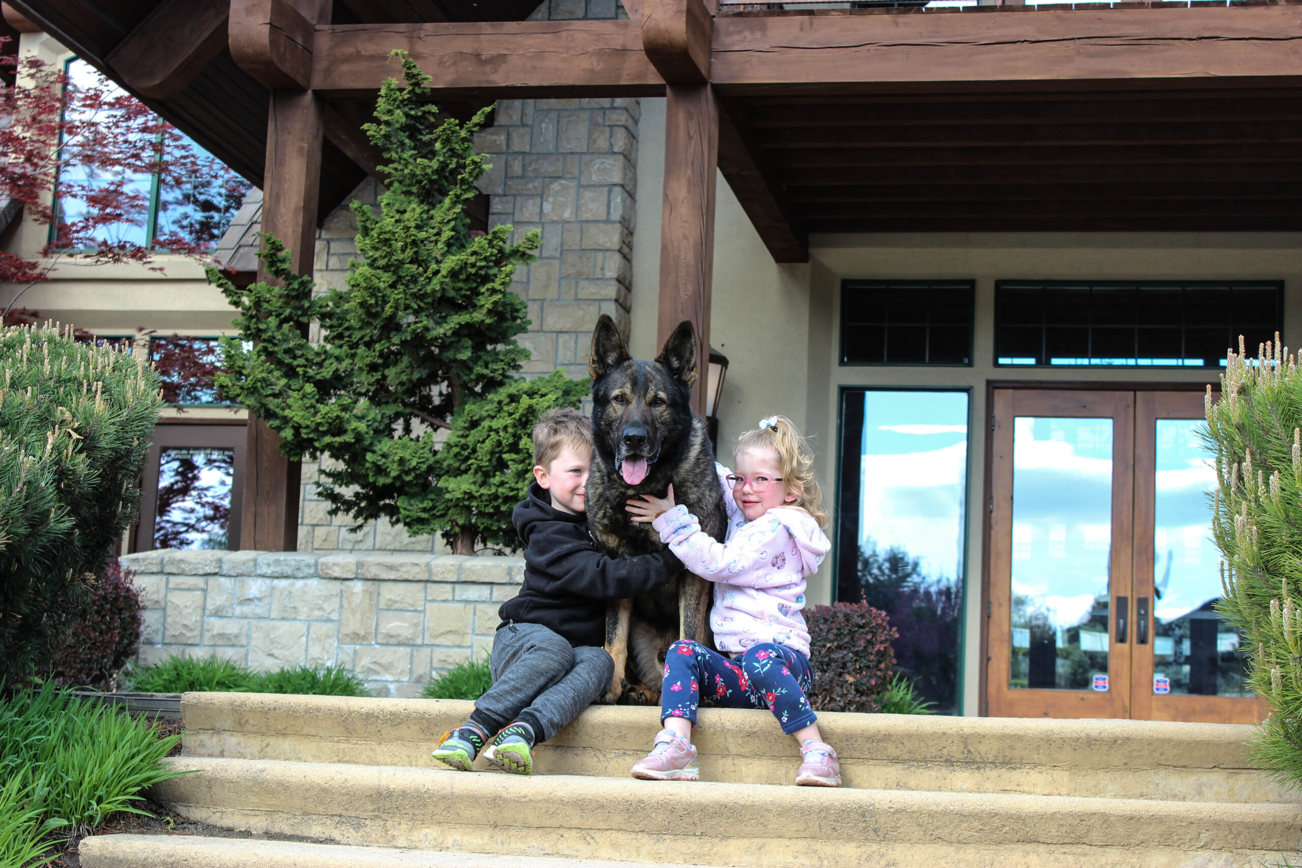 blog bonding with guard dog