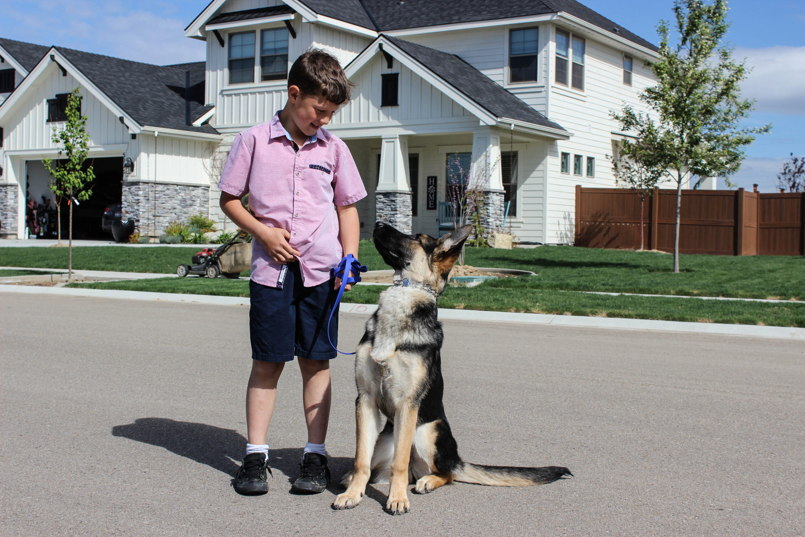 Boy walking German Shepherd puppy.