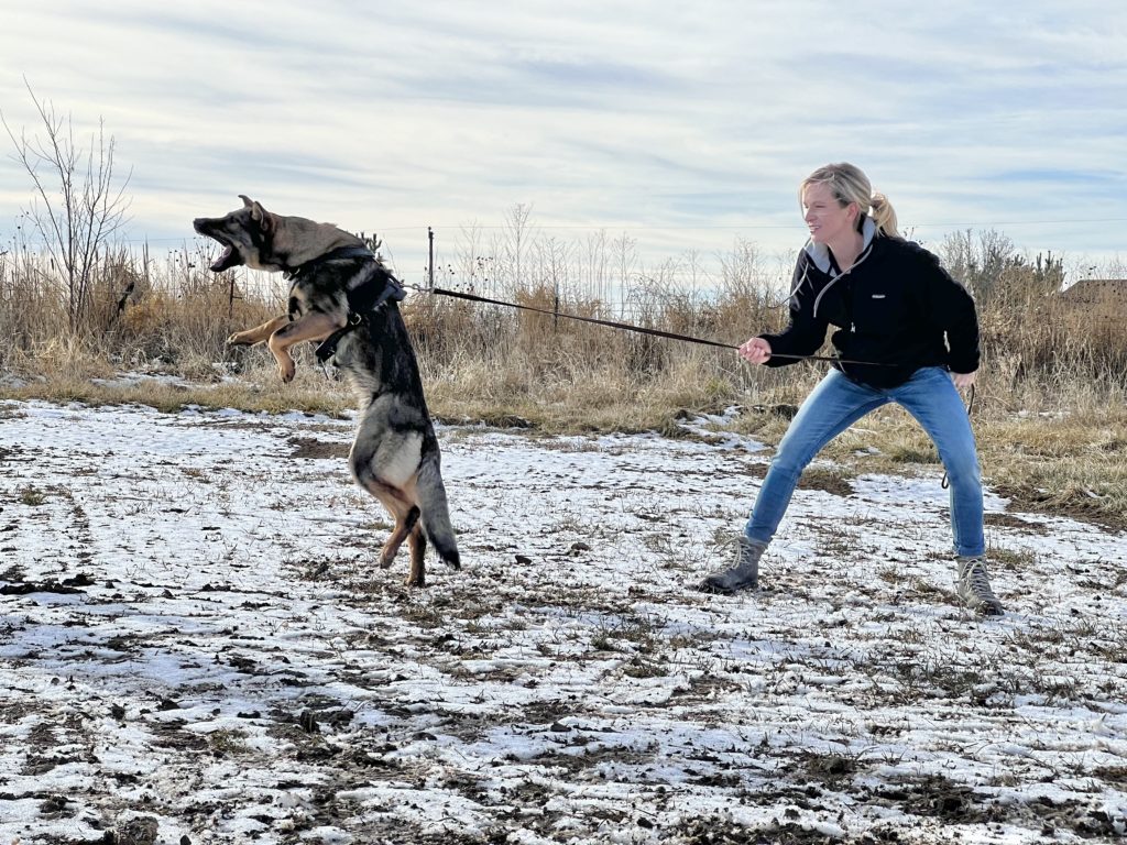 Woman holding leash as dog jumps