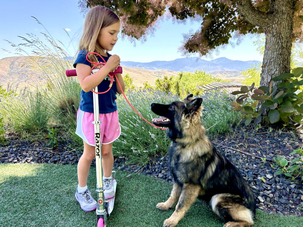 Young girl with scooter and attentive dog outdoors.