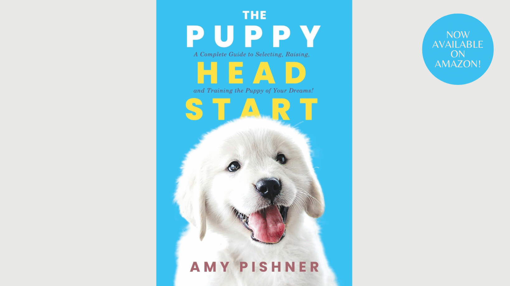 The Puppy Head Start Book by Amy Pishner
