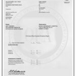 Idaho German Shepherd Stud