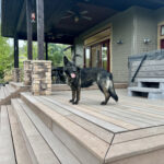 VPD-K9 Jasira, 5 years old