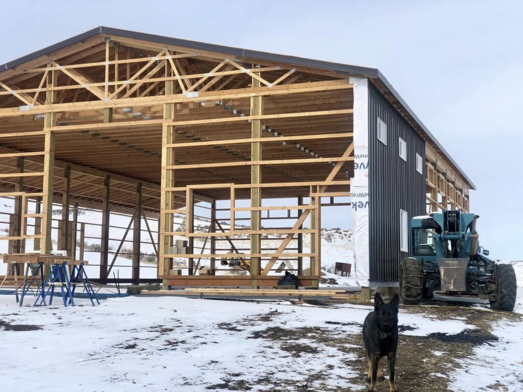 Wooden barn under construction with dog